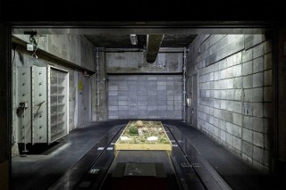 家業の花屋を営みながら創作活動を展開する野田幸江氏の個展「腐っていくことやここからの眺め」