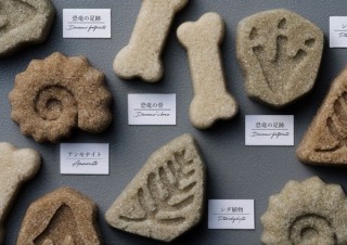 砂糖でできたアンモナイトやジグソーパズル、珈琲豆などの「物語のある砂糖」発売