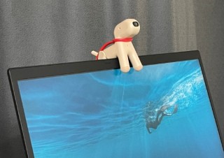 見た目のかわいさだけじゃない、犬の形をした実用性の高いウェブカメラ