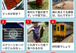 はてな、撮影した写真について質問できるiPhoneアプリ「コレナニ？」