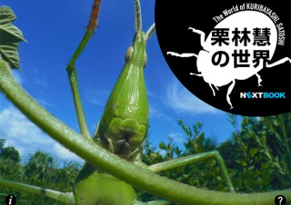 栗林慧、初のデジタル写真集/iPadアプリ「栗林慧の世界」 