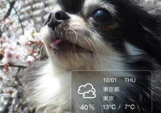 ネプシス、犬の写真を投稿できるiPhone向け天気予報アプリ「イヌピク！天気予報」