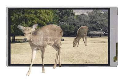 2D／3D表示切り替え可能なタッチパネル付き3D液晶ディスプレイ