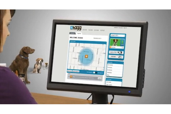 ペットの現在地を表示