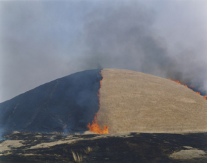無題　シリーズ《あめつち》より　2012