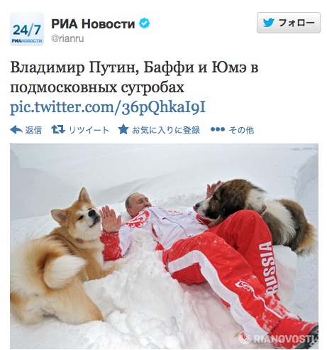 プーチン 秋田 犬 プーチン大統領の愛犬は 日本から贈られた秋田犬 ゆめ Stg Origin Aegpresents Com