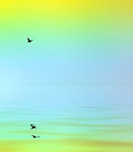ちょっと抽象的ですが、個人的に好きなイラストです。水面を飛ぶ鳥を描きつつ、春らしい色合いと波の質感で雰囲気を出していますね