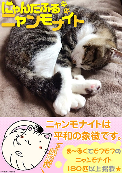 ニャンモナイト 無料配信の猫の写真集「にゃんだふるニャンモナイト」 - デザインって