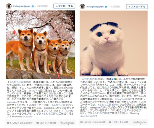 日本人はどれだけ猫が好きなんだ インスタグラムの15年の1位に 猫 ねこ デザインってオモシロイ Mdn Design Interactive