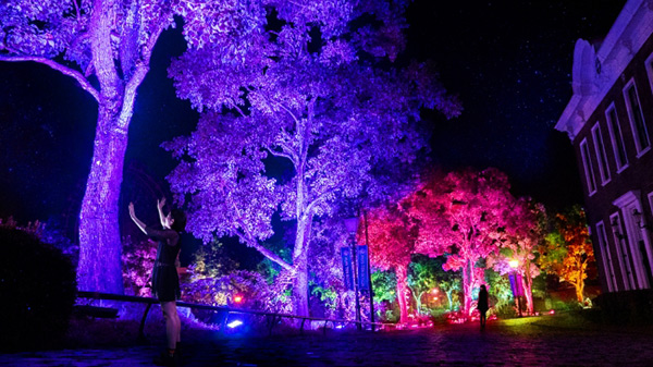 呼応する木々 / Resonating Trees teamLab, 2014, Interactive Digitized Nature, Sound: Hideaki Takahashi ※画像は長崎での「呼応する木々」より