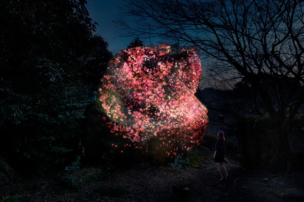 「増殖する生命の巨石」 teamLab, 2017, Digitized Nature