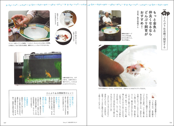 もっと金魚と仲良くなるなら、どんぶり飼育がおすすめ！