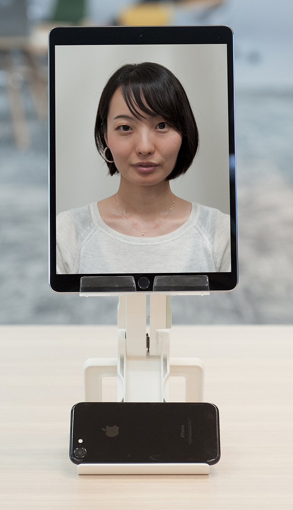 ライトアップ無しのイメージ