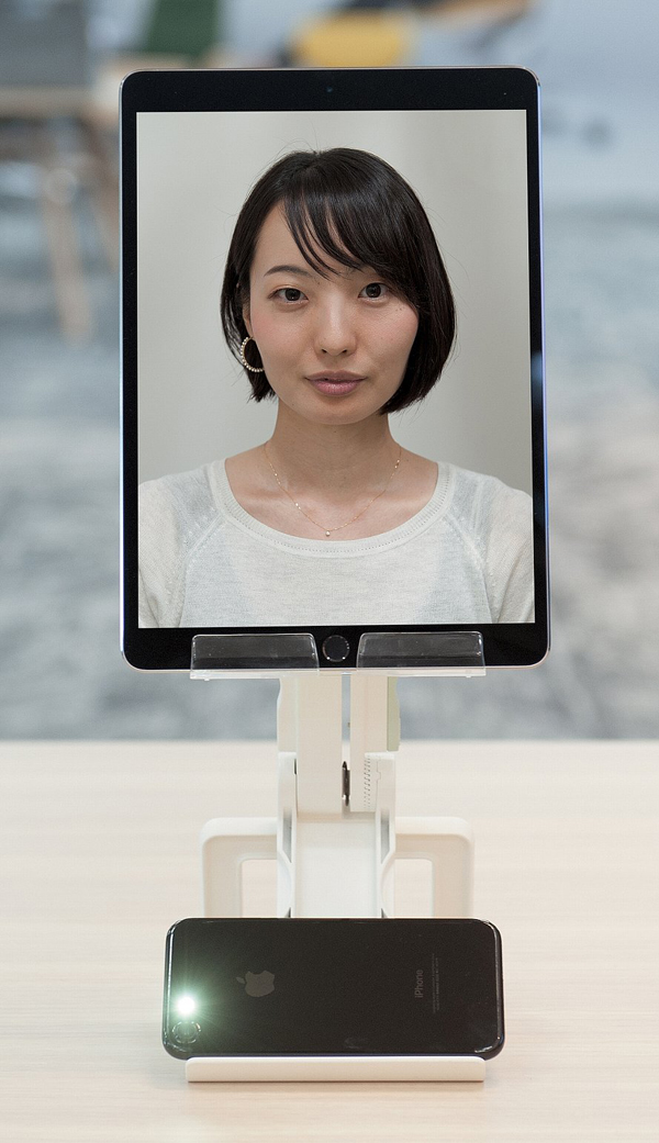 ライトアップ有りのイメージ