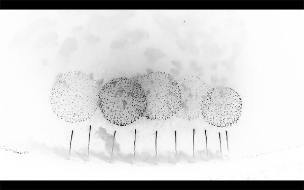 Piotr Bujak《花火》2019 ©Pitor Bujak