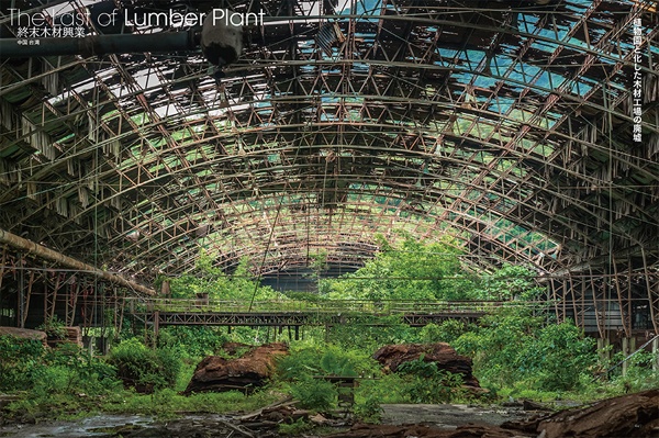 植物園と化した木材工場の廃墟「終末木材興業」（中国 台湾）