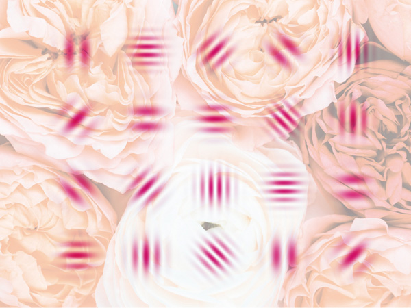 「見るだけで目がよくなるガボールパッチ」より