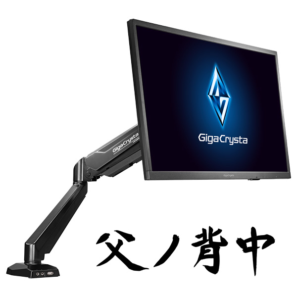 LCD-GC251UXB/A