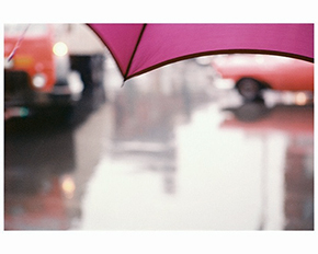 ソール・ライター 《薄紅色の傘》1950年代、発色現像方式印画 ⒸSaul Leiter Foundation