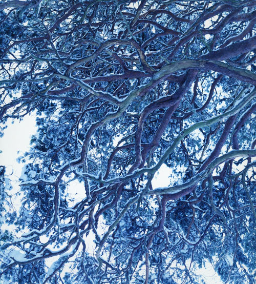 藤田はるか写真展「winter」