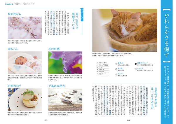 やわらかさを探す