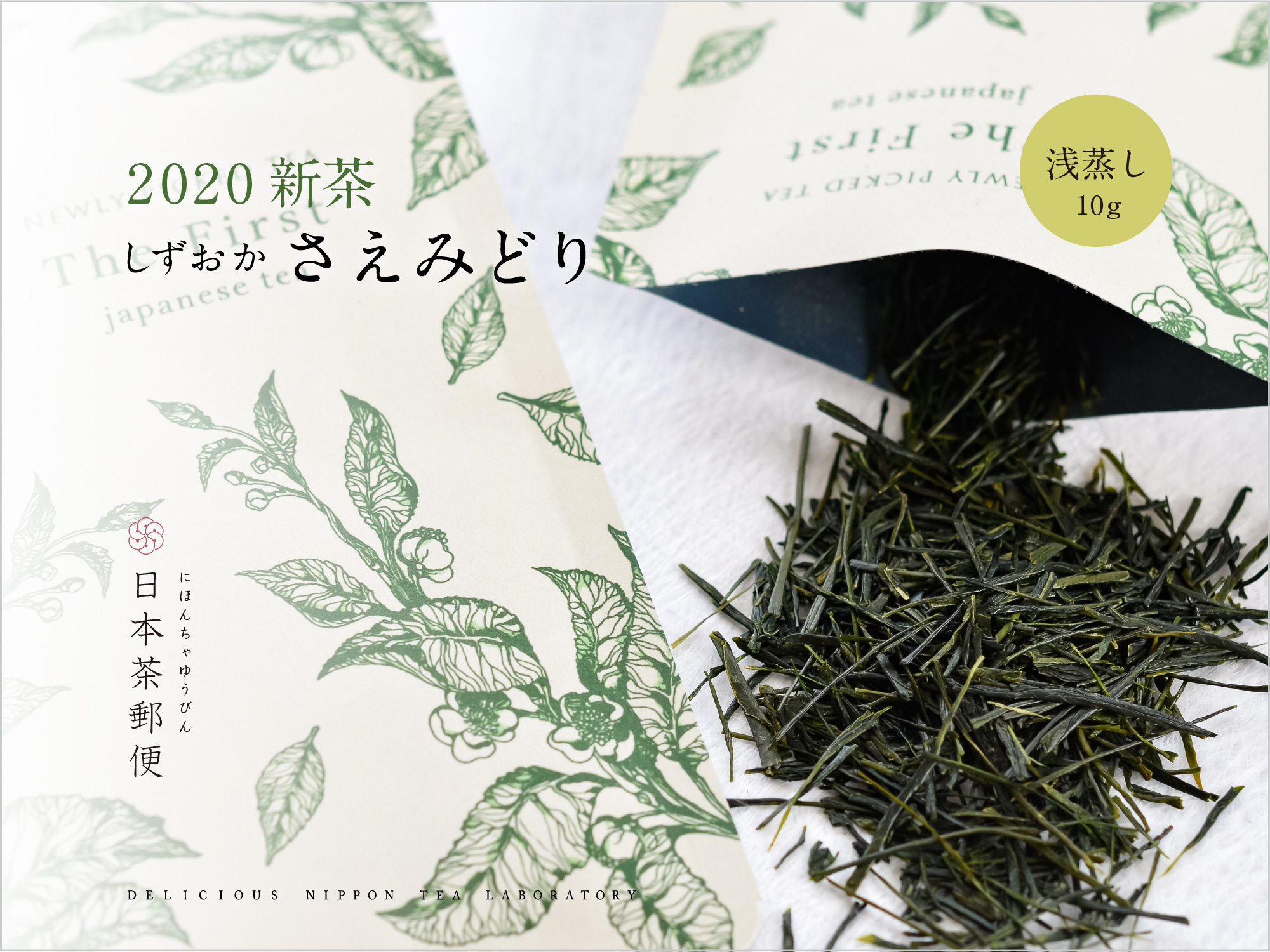 【新茶 しずおかさえみどり】シングルティー「浅蒸し」 早生品種サラブレッド「さえみどり」は、明るく冴えた色沢と上品な香りと甘みで人気上昇中の品種