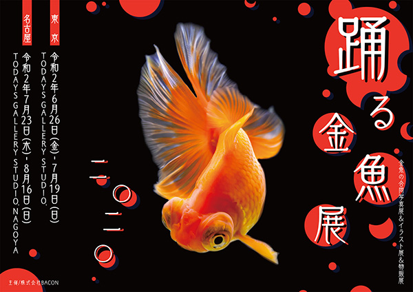 夏の風物詩の金魚が優雅に泳ぐ一瞬の美しさに注目した 踊る金魚展 デザインってオモシロイ Mdn Design Interactive