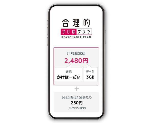 合理的かけほプラン