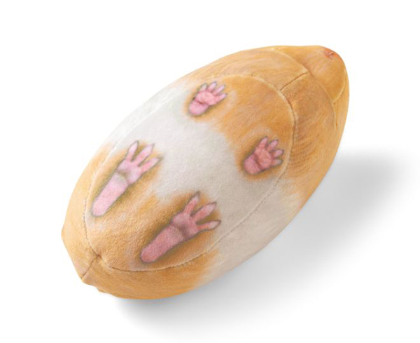 裏面には手足が