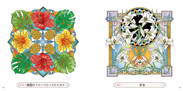 08　蓮  09　南国のフルーツとハイビスカス