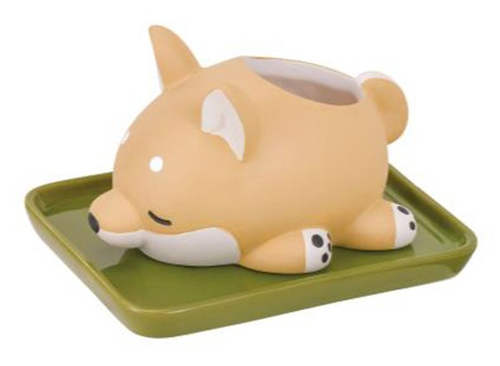 柴犬の「コタロウ」