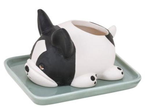 フレンチブルドッグの「ブブル」