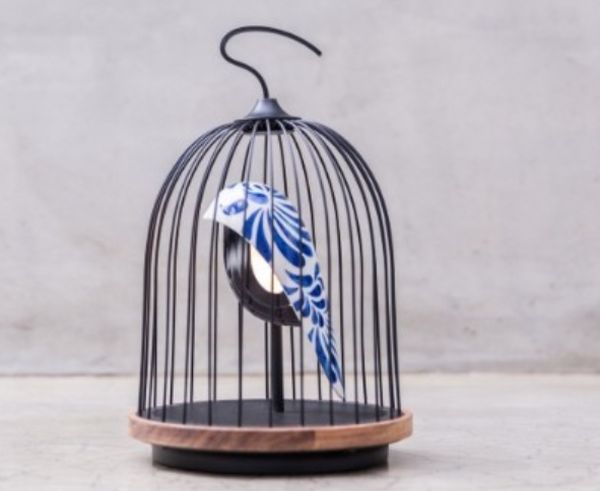 ジングーフェザーチャイナ