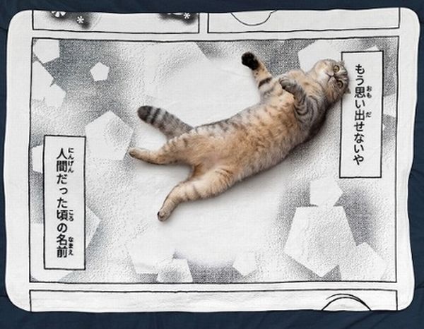 お昼寝コミックブランケット／人間だった