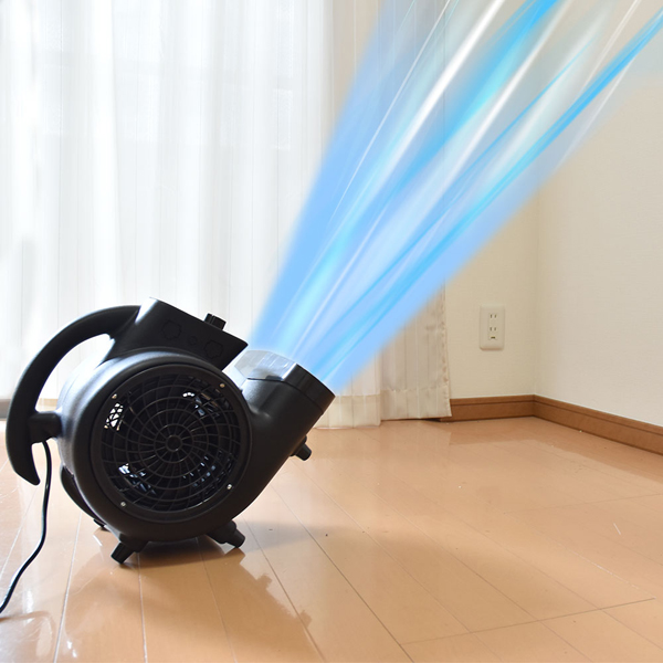 ストームファンモナイト