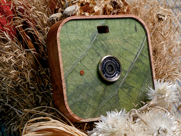 四季をイメージしたリーフシリーズ Spring ～春～