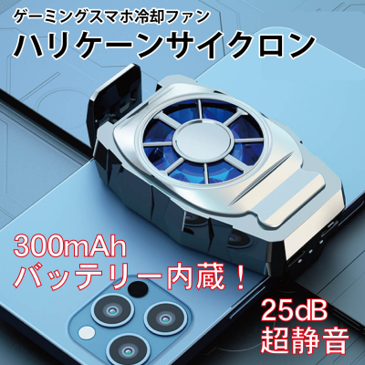 ハリケーンサイクロン