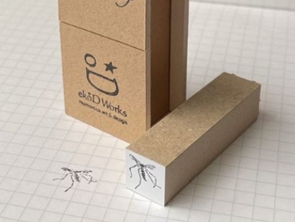 専用ケース付きで発売