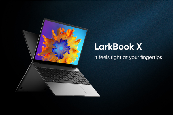 LarkBook X