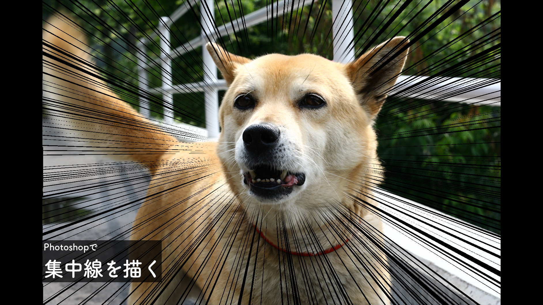 Photoshopで集中線を描く 図形 Photoshop逆引き辞典 デザインってオモシロイ Mdn Design Interactive