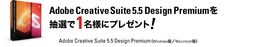 Photoshop Illustrator Cs5は導入すべきバージョンか 2 2 Mdn Design Interactive