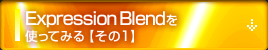 Expression Blendを使ってみる【その1】