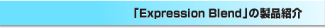 �uExpression Blend�v�̐��i�Љ�