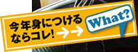 今年身につけるならコレ!