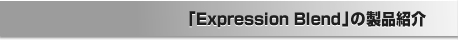�uExpression Blend�v�̐��i�Љ�